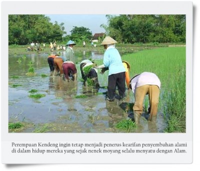 Perempuan Kendeng Kembali Ke Penyembuhan Alami