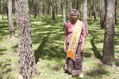 Pejuang Lingkungan Aleta Baun Terima Goldman Environmental Prize 2013