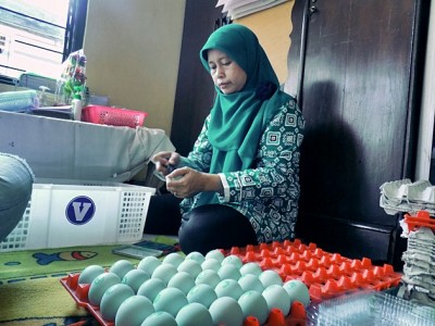 Ambar Turatminah Kembangkan Telur Asin Rendah Kholesterol